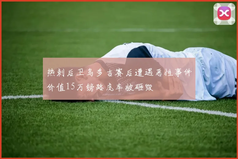 热刺后卫乌多吉赛后遭遇恶性事件价值15万镑路虎车被砸毁