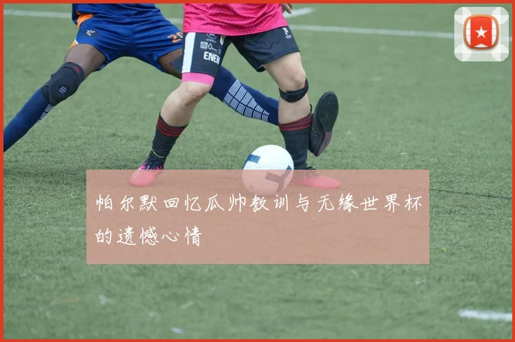 帕尔默回忆瓜帅教训与无缘世界杯的遗憾心情